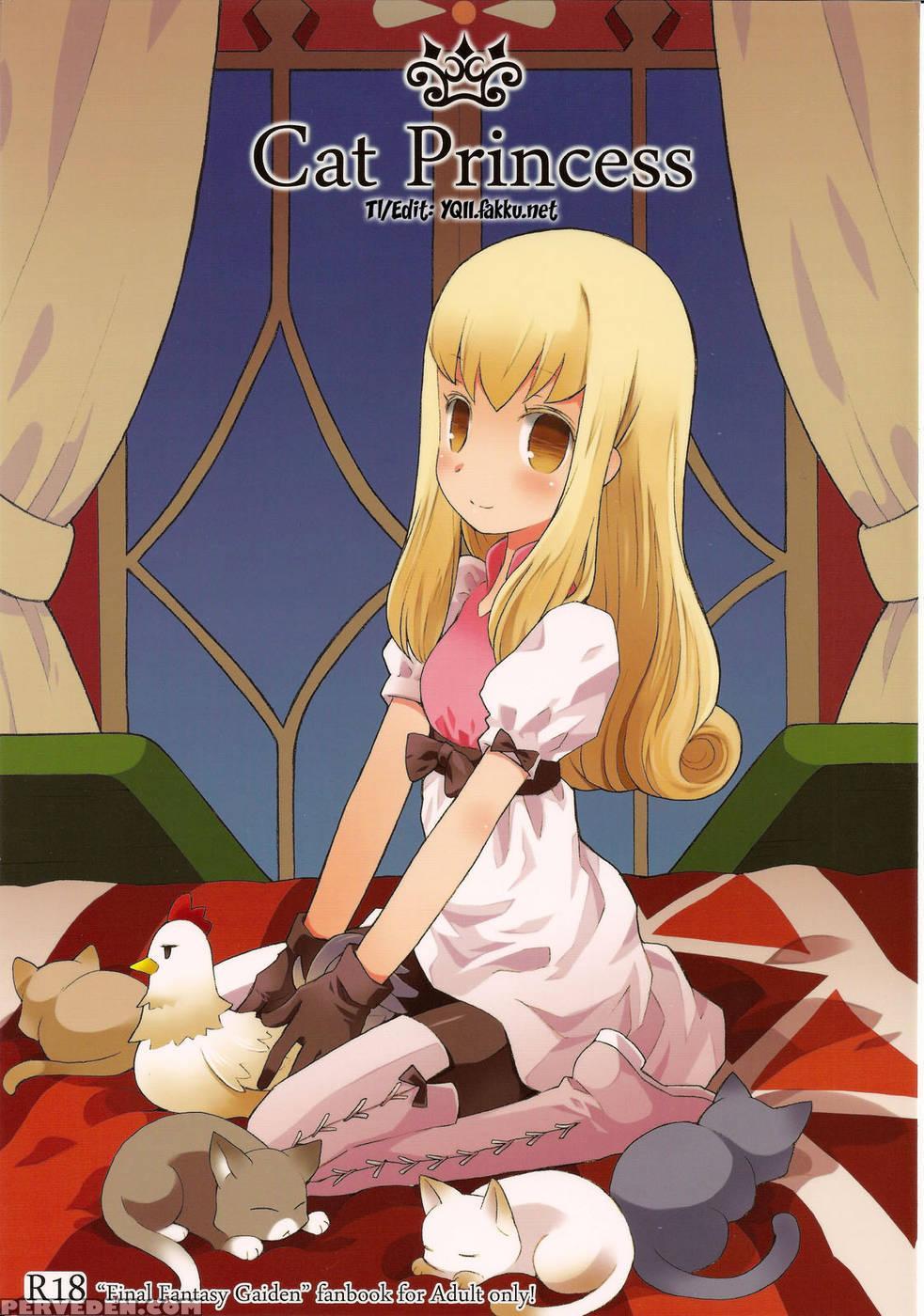 Cat Princess - Final Fantasy: The 4 Heroes Of Light 1
