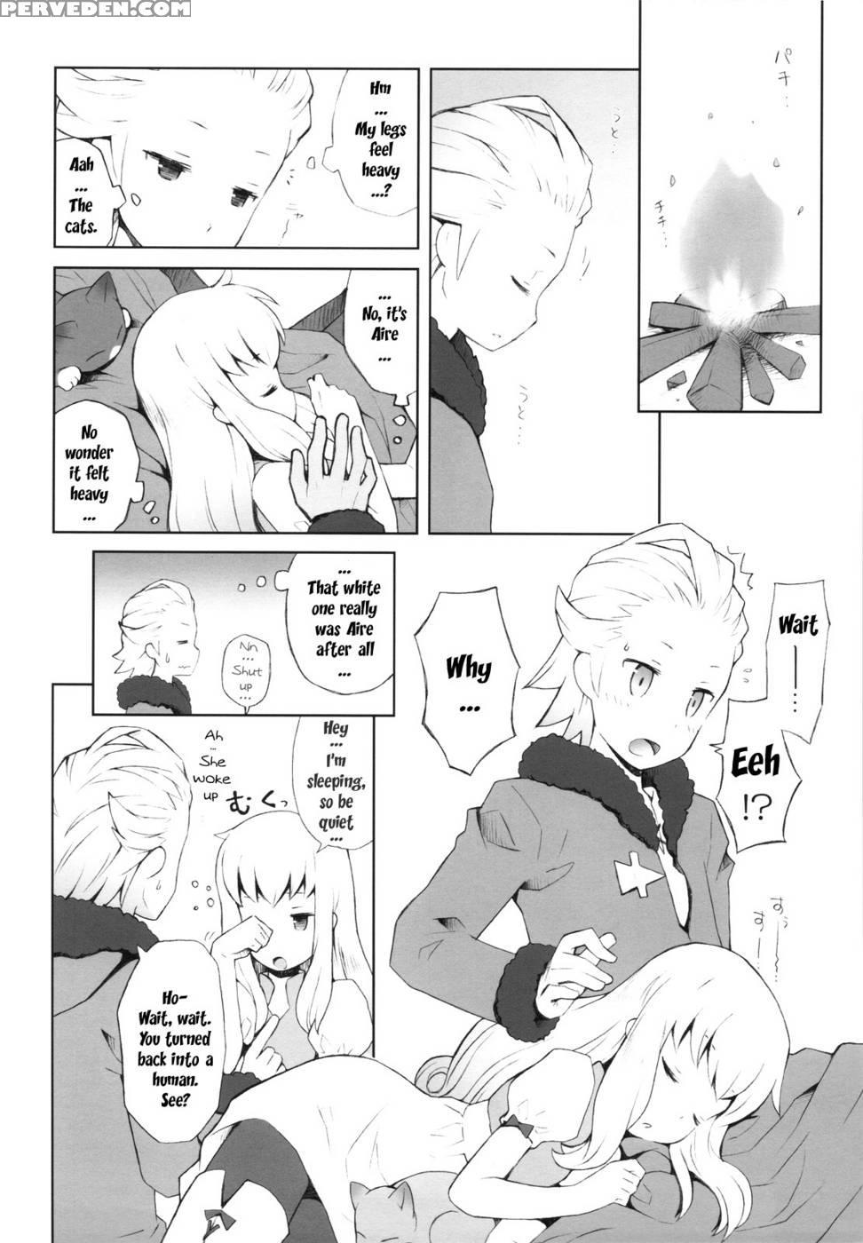 Cat Princess - Final Fantasy: The 4 Heroes Of Light 1