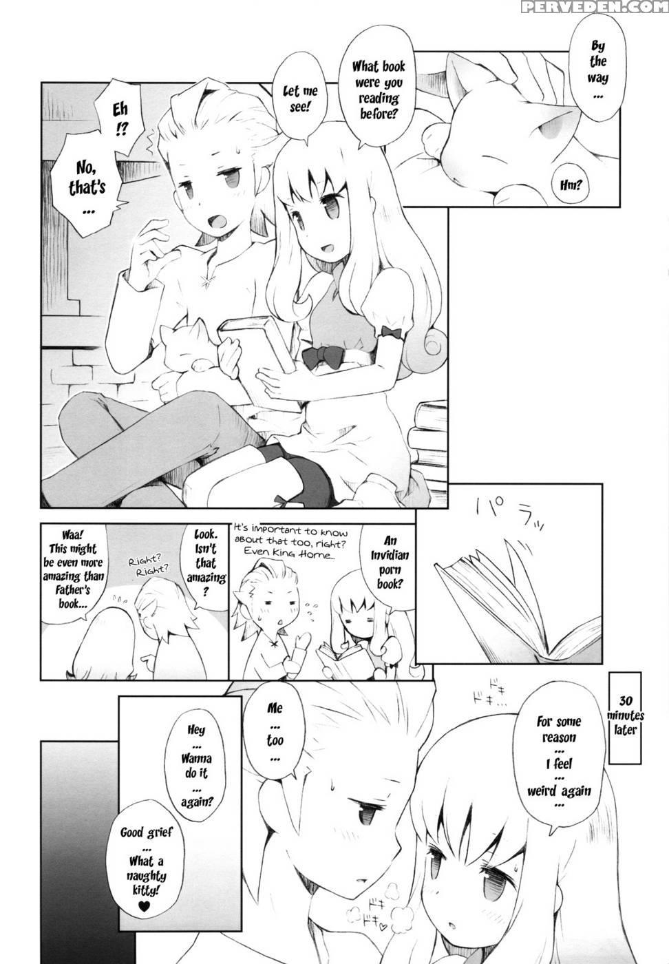 Cat Princess - Final Fantasy: The 4 Heroes Of Light 1