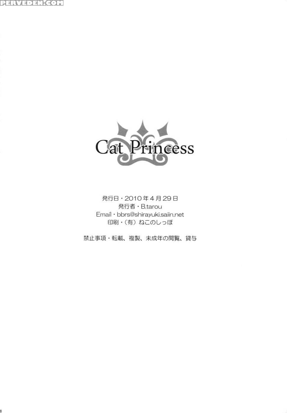 Cat Princess - Final Fantasy: The 4 Heroes Of Light 1