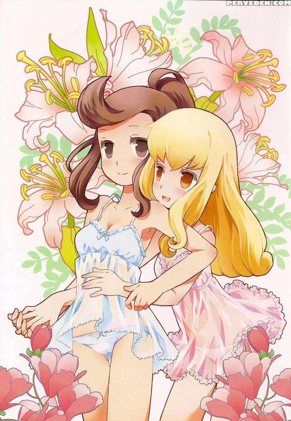 Cat Princess - Final Fantasy: The 4 Heroes Of Light 1