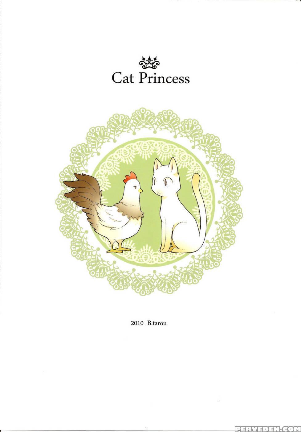 Cat Princess - Final Fantasy: The 4 Heroes Of Light 1