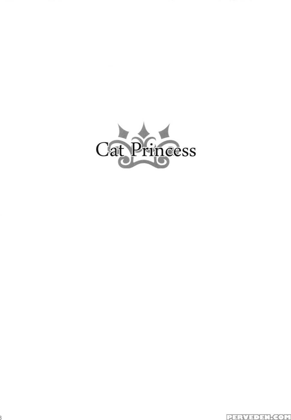 Cat Princess - Final Fantasy: The 4 Heroes Of Light 1