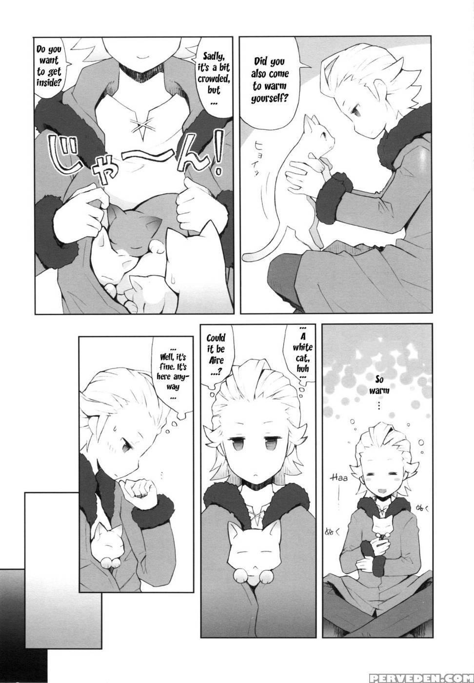 Cat Princess - Final Fantasy: The 4 Heroes Of Light 1