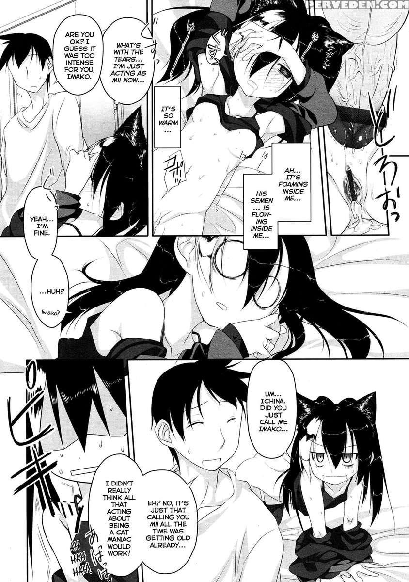 Cat-head Imako 1