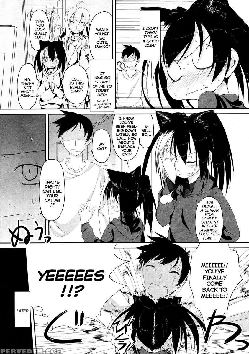 Cat-head Imako 1