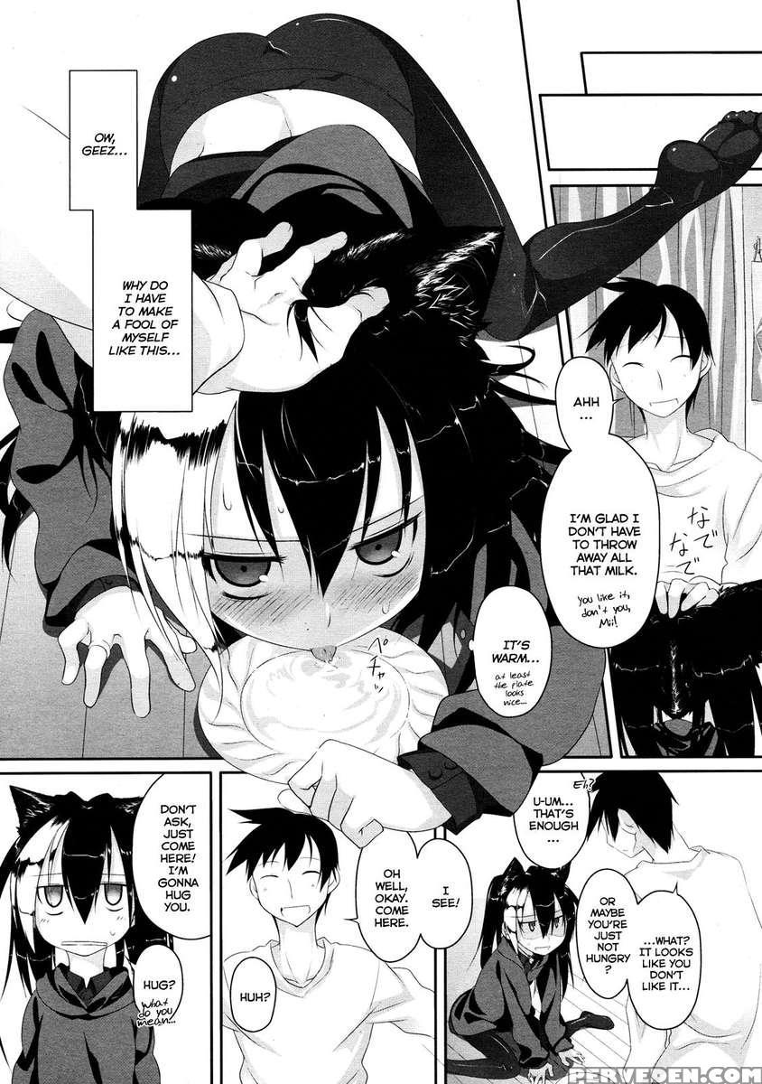 Cat-head Imako 1