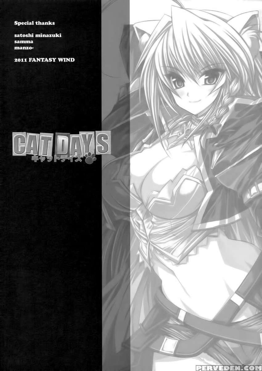 Catdays 1