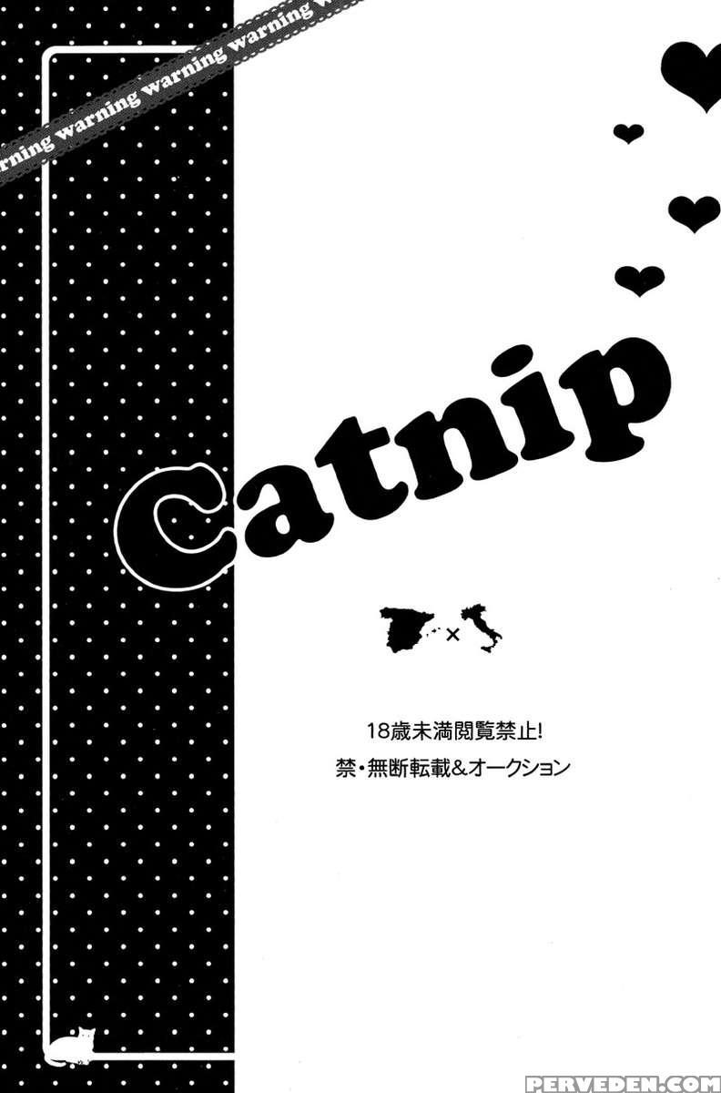 Catnip 1
