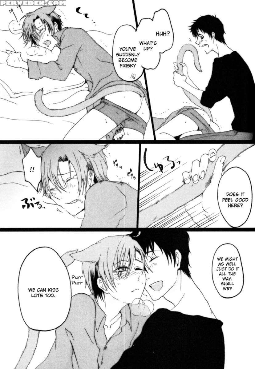 Catnip 1