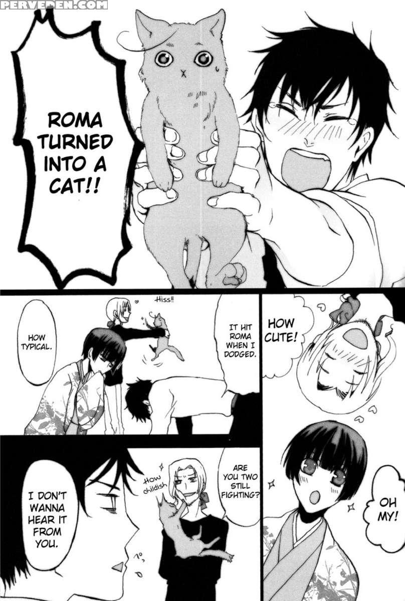 Catnip 1