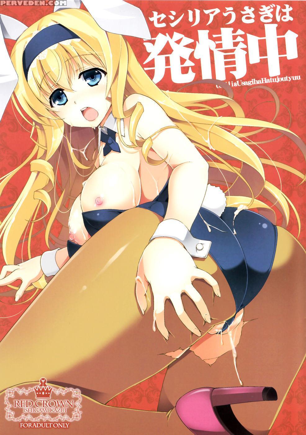 Cecilia Usagi Wa Hatsujou Chuu - Infinite Stratos 1