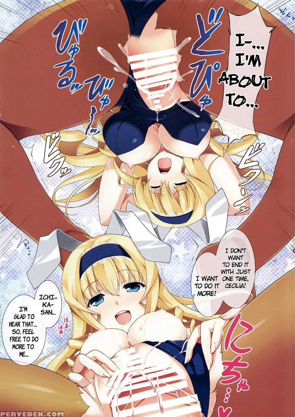 Cecilia Usagi Wa Hatsujou Chuu - Infinite Stratos 1