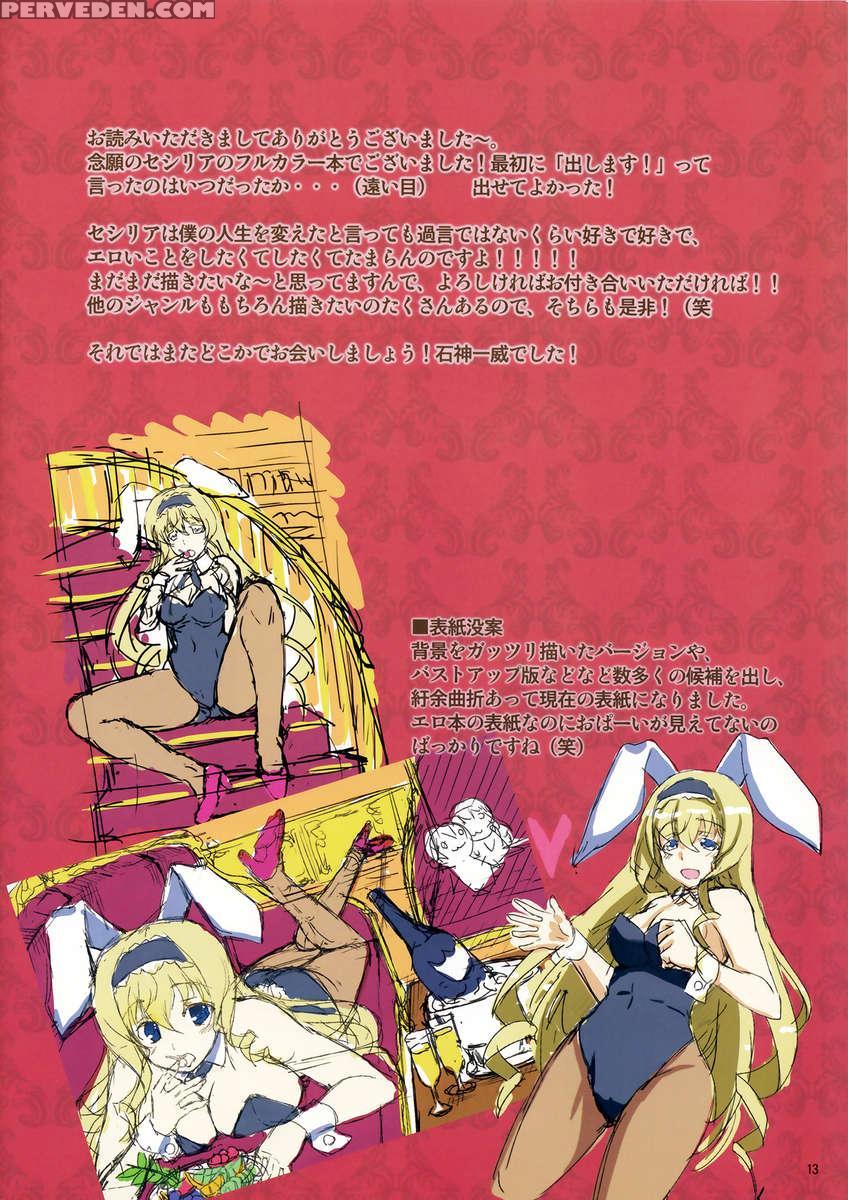 Cecilia Usagi Wa Hatsujou Chuu 1
