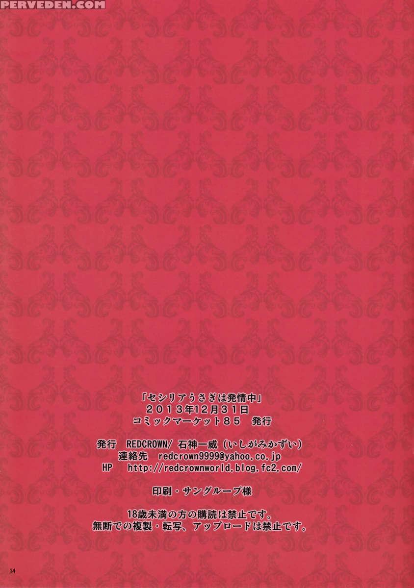 Cecilia Usagi Wa Hatsujou Chuu 1