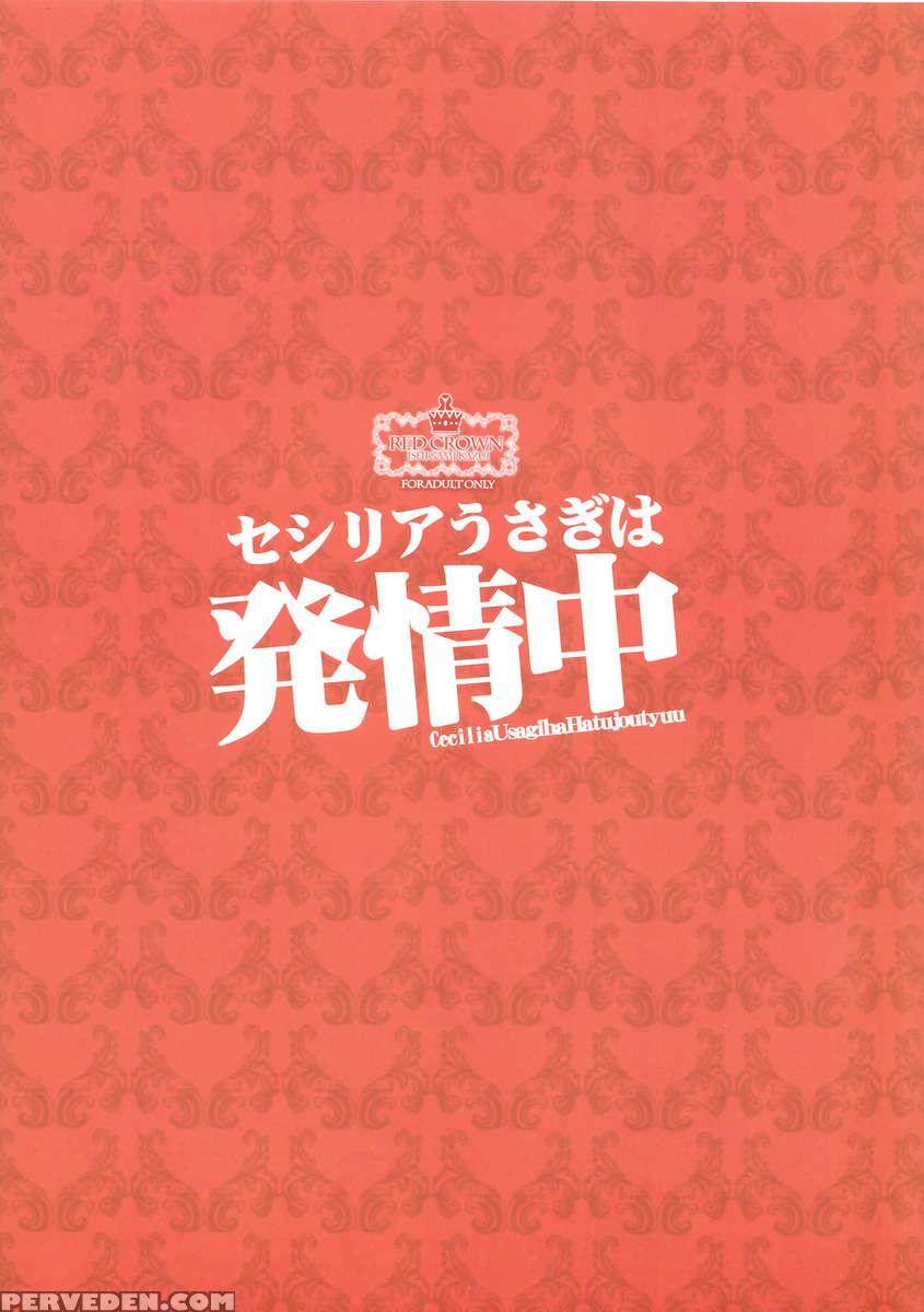 Cecilia Usagi Wa Hatsujou Chuu 1