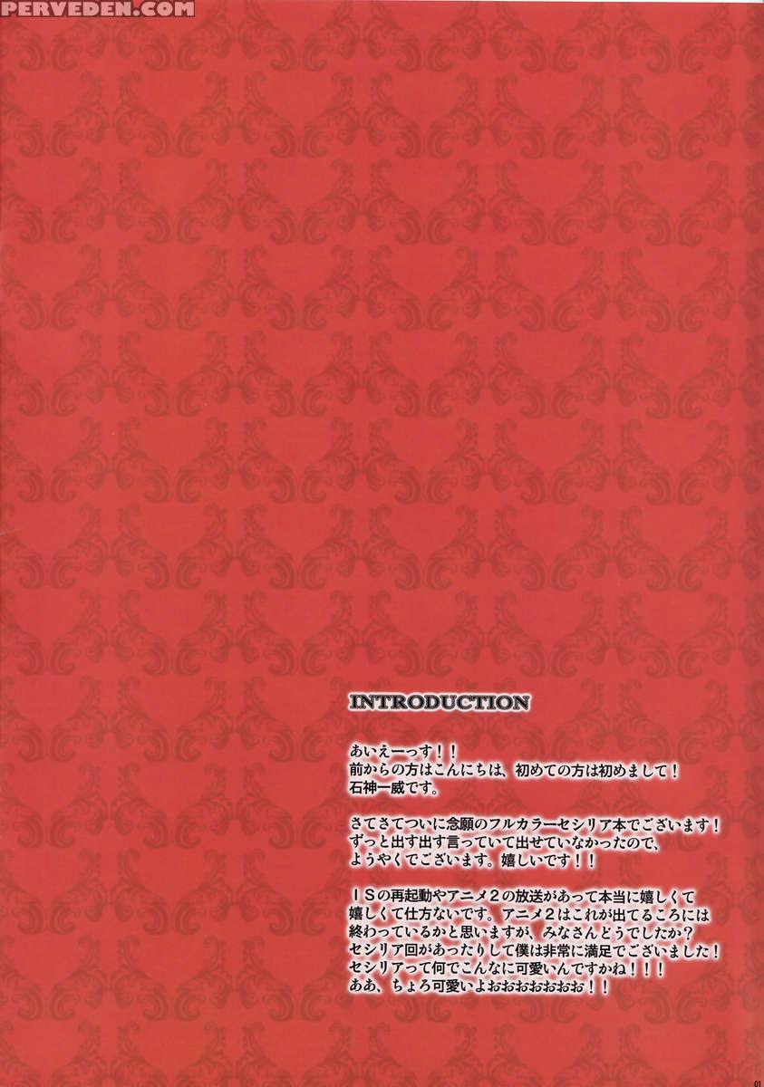 Cecilia Usagi Wa Hatsujou Chuu 1