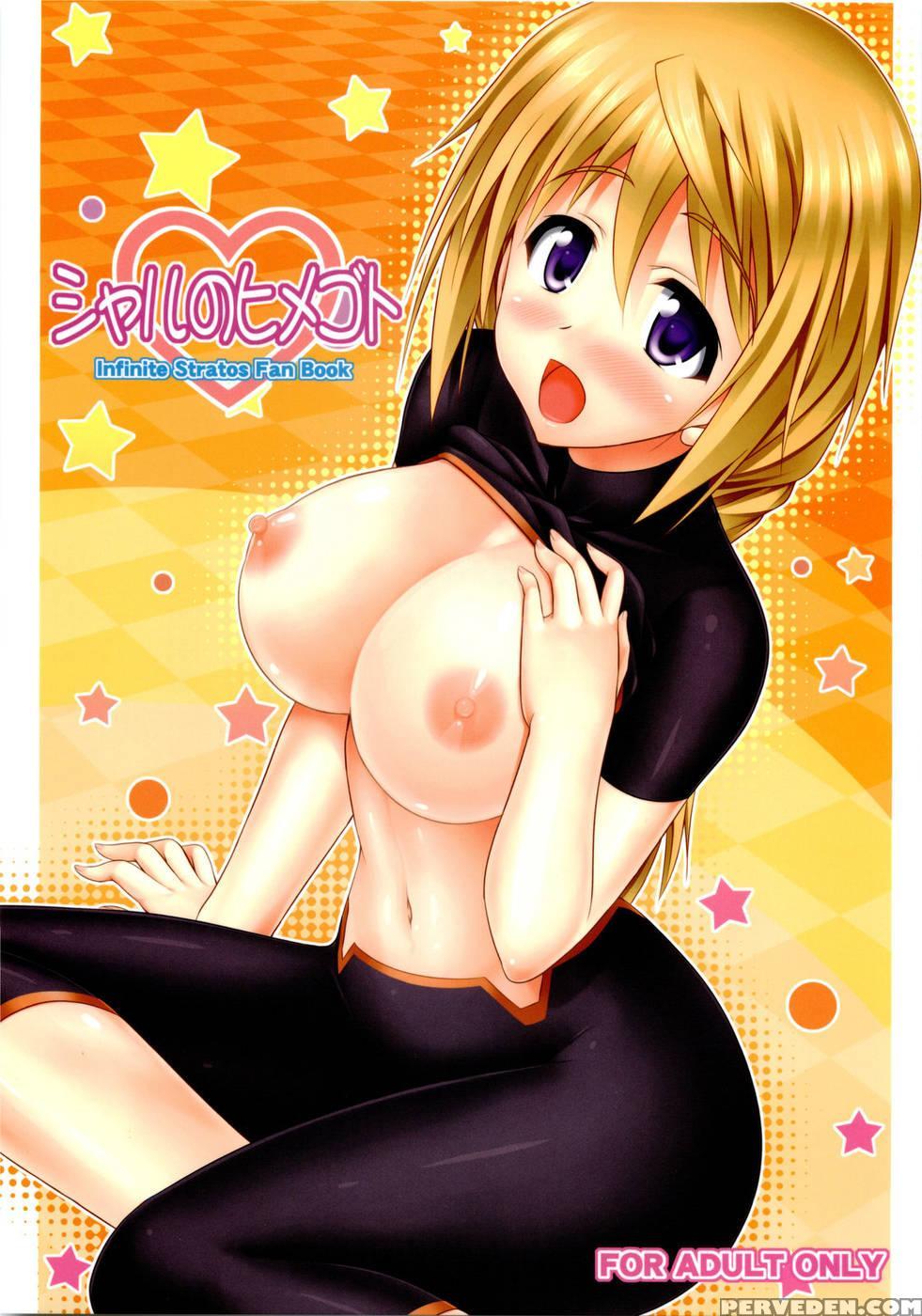 Charl No Himegoto - Infinite Stratos 1