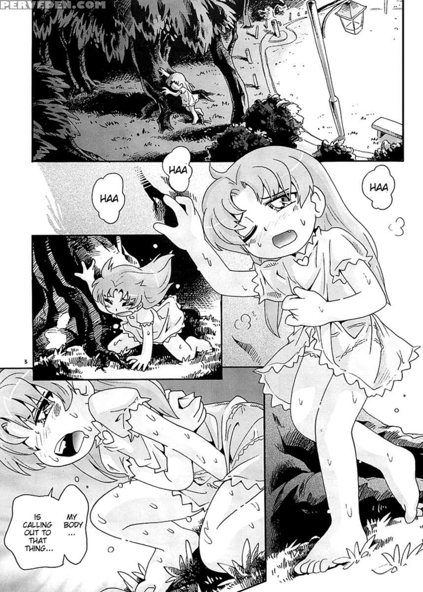 Chiccha Na Bishoujo Senshi 3 1