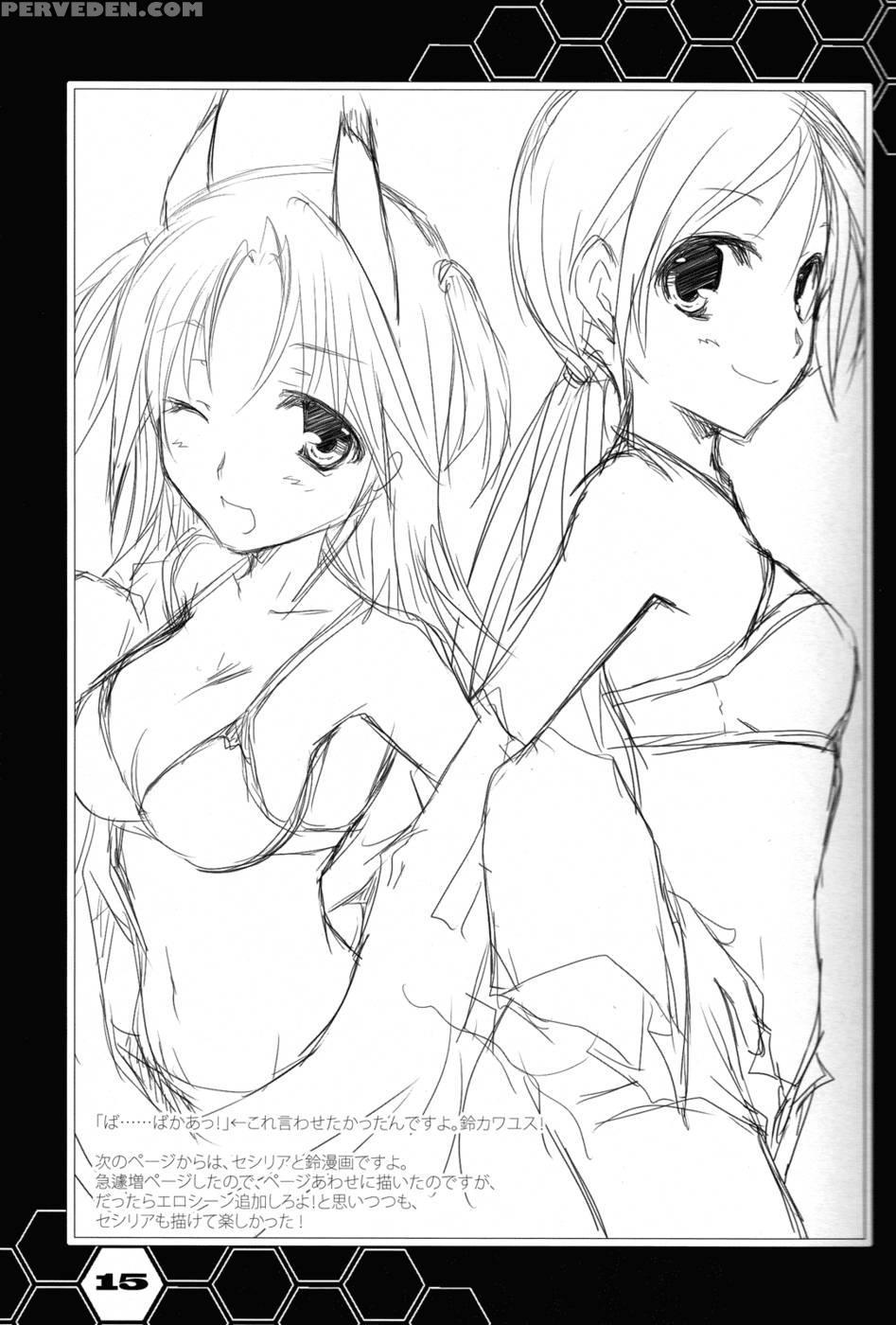 China's Reality - Infinite Stratos 1