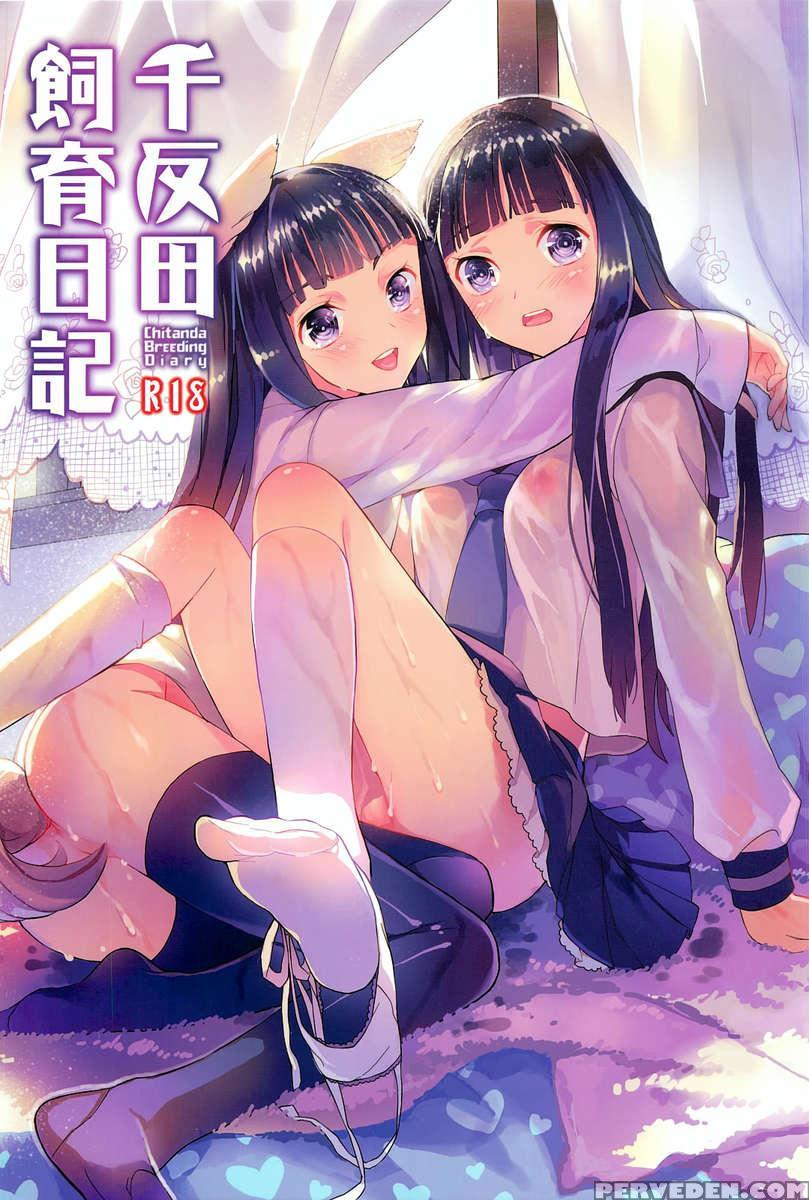 Chitanda Breeding Diary 1