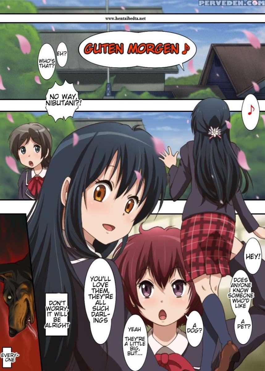 Chuunibyou - Regardless Of My Adolescent Delusions Of Grandeur, I Want Bestiality 2 ! 1