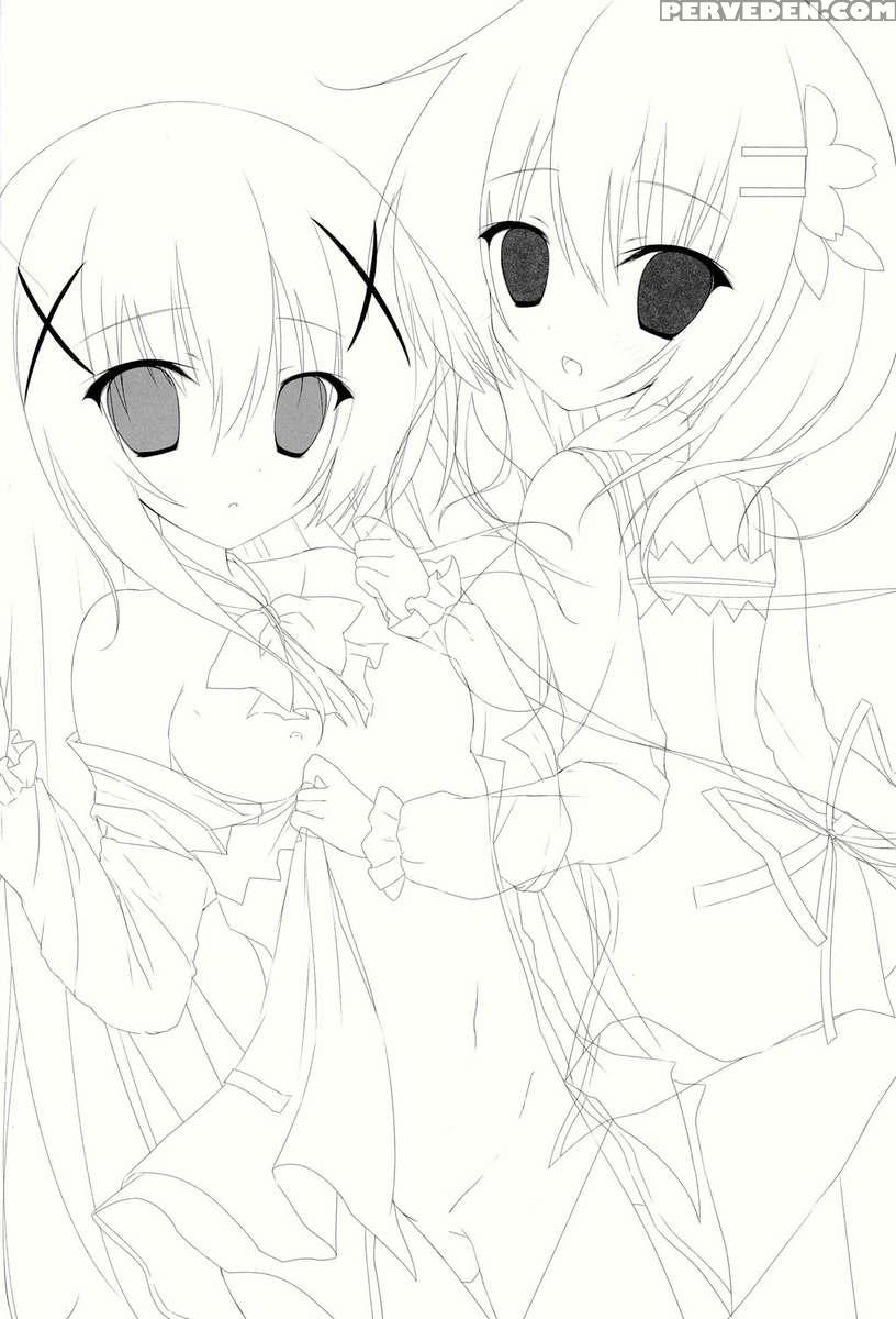 Cocochino 1
