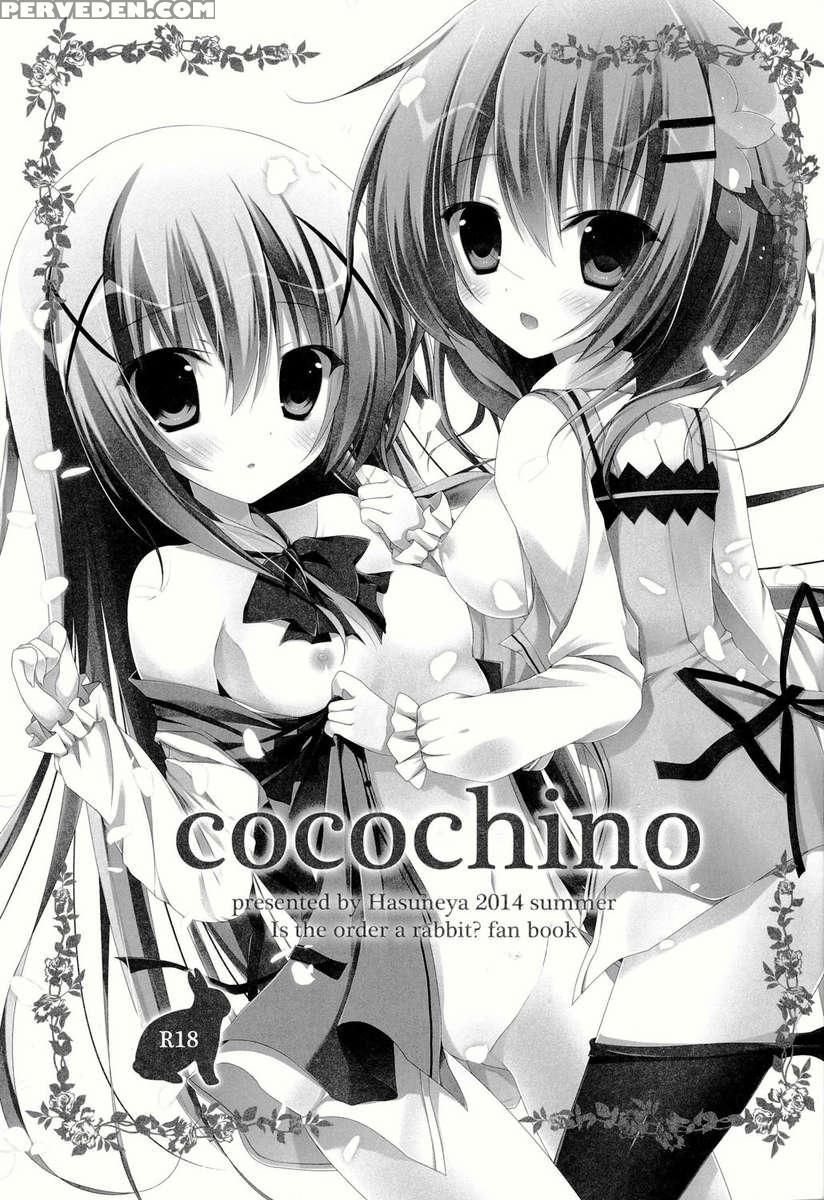 Cocochino 1
