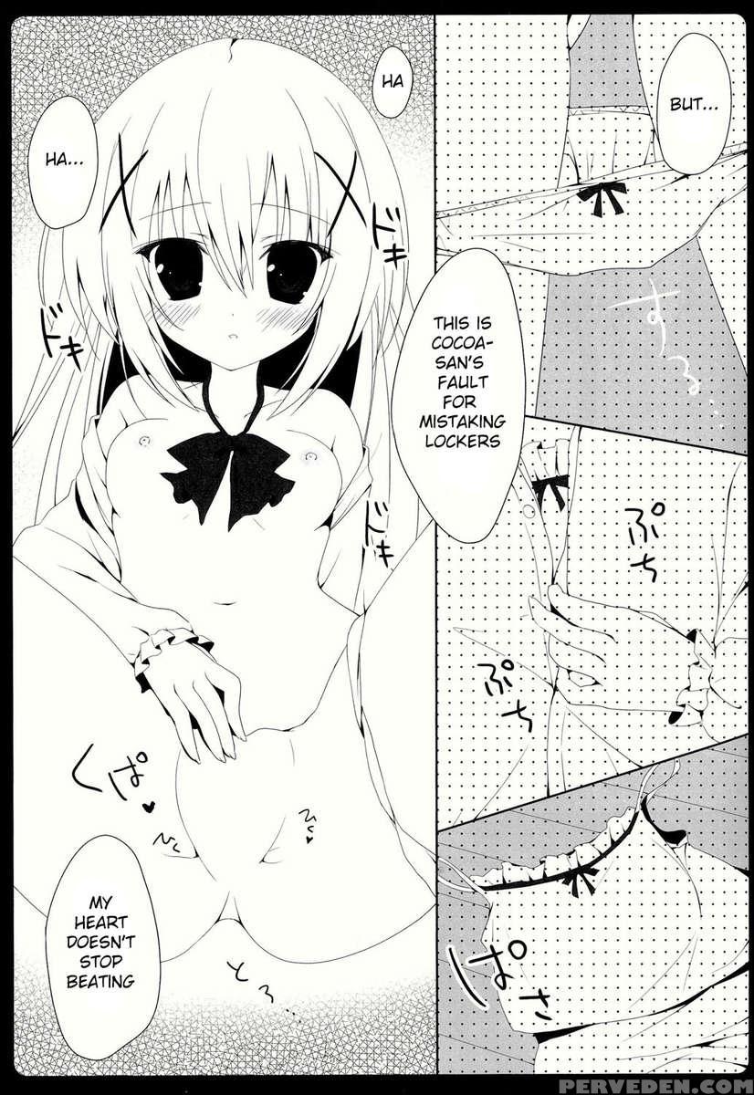 Cocochino 1