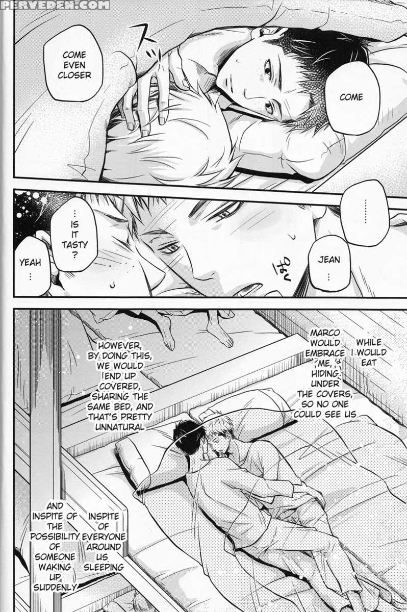 Cocoon 1