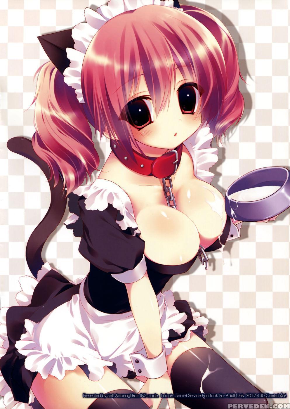 Colorful X Ss - Inu X Boku Ss 1