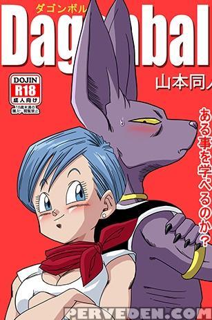 Dagonball (beerus X Bulma Doujin) (eng) 1