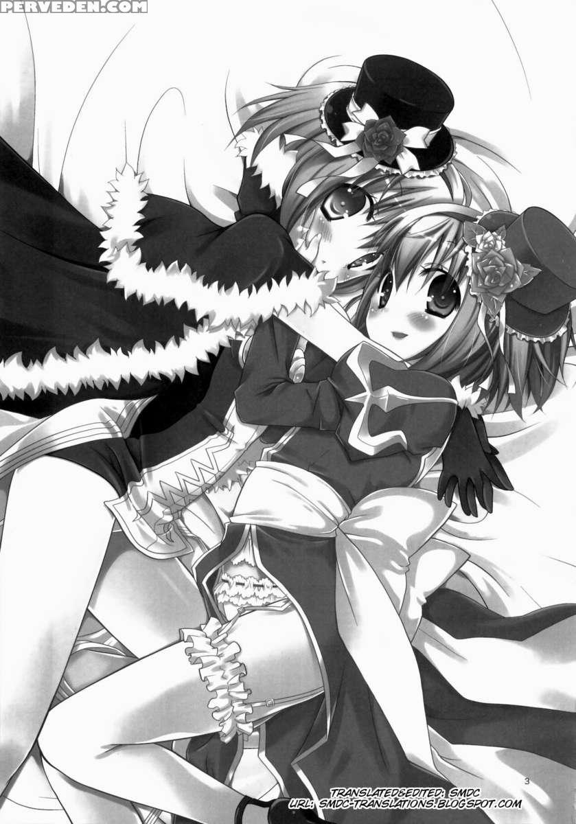 Daily Ro 4 1
