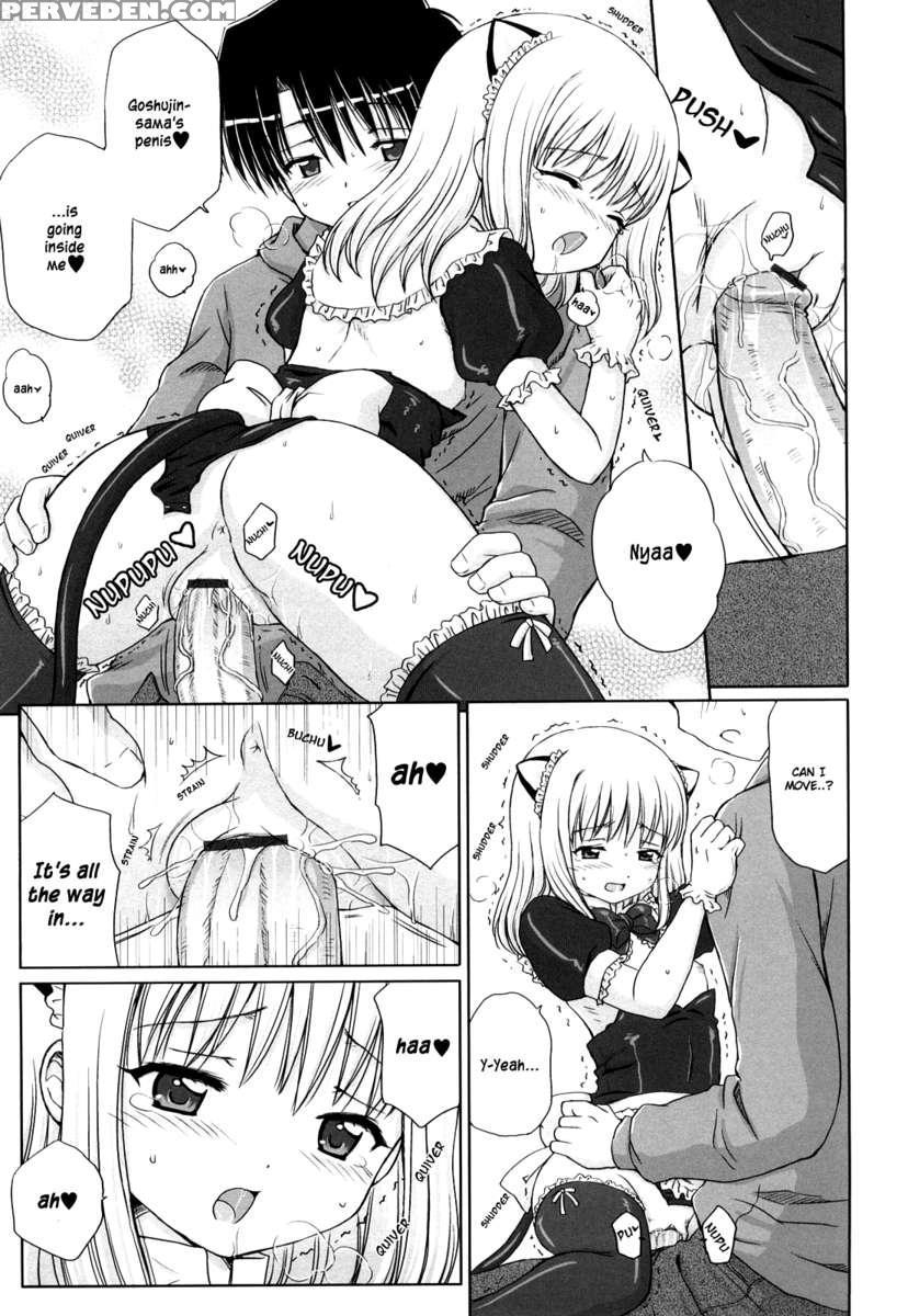 Daisuki Daisuki 1