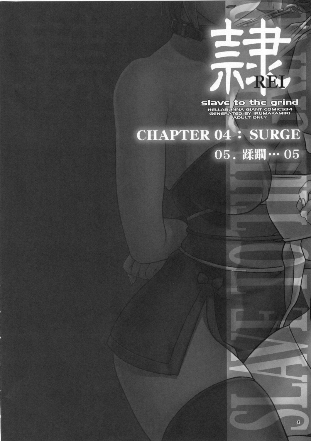 Dead Or Alive Dj - Rei: Slave To The Grind 4