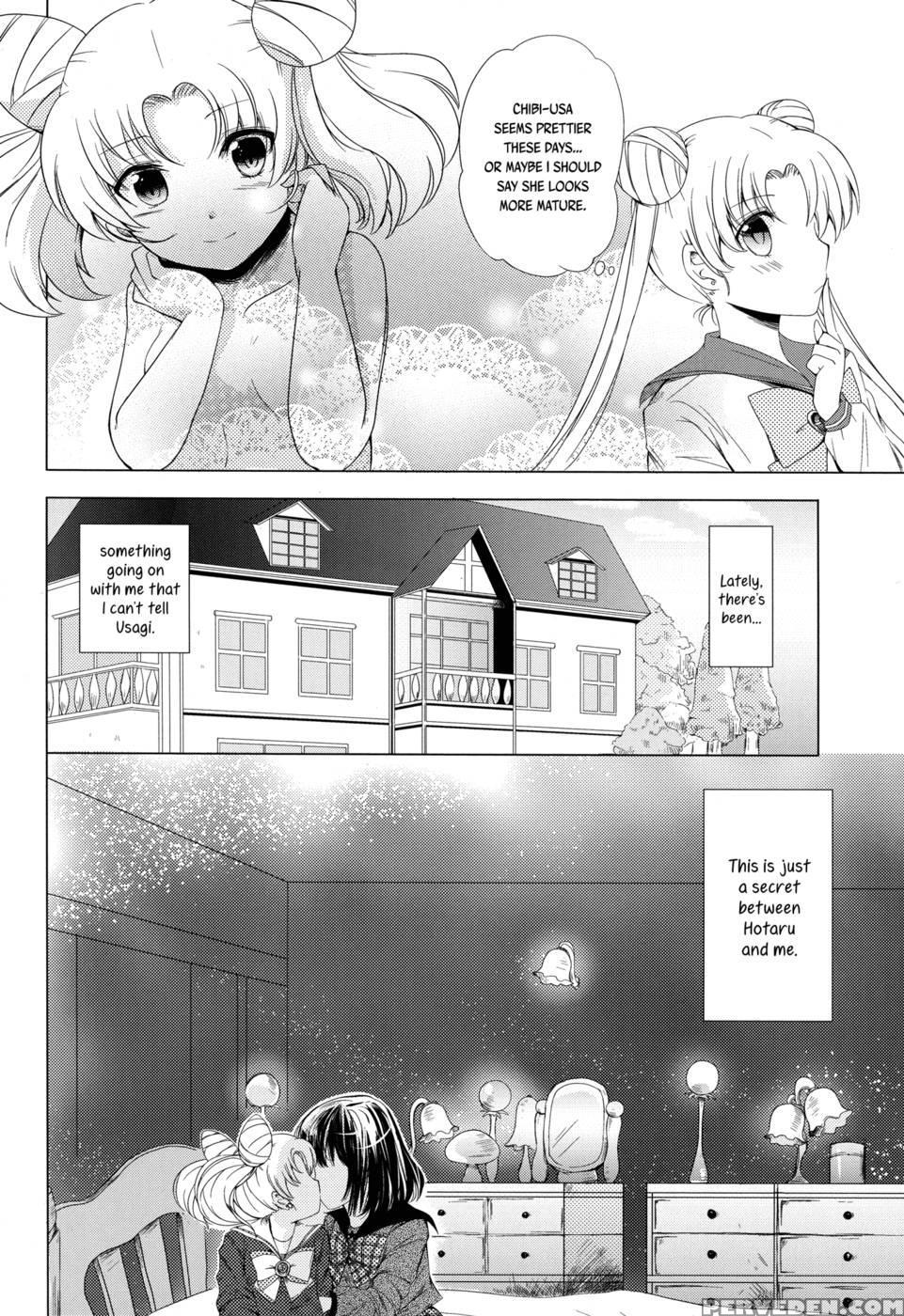 Destiny Love - Pretty Guardian Sailor Moon 1
