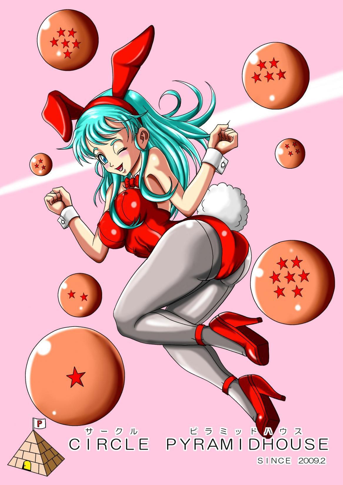 Dragon Ball Dj - Sow Bunny 1