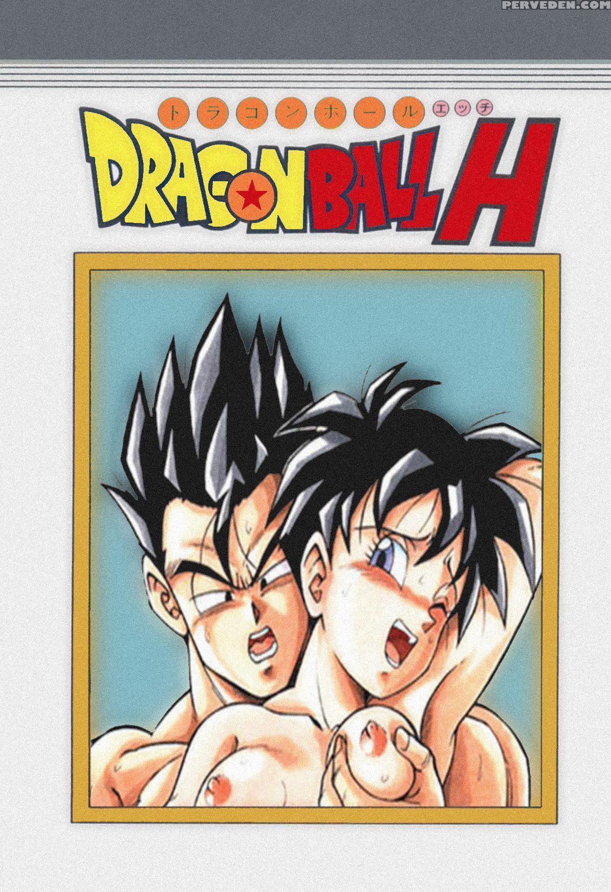 Dragon Ball H - Gohan & Videl [rehabilitation (garland)] [english] [memoz] 1