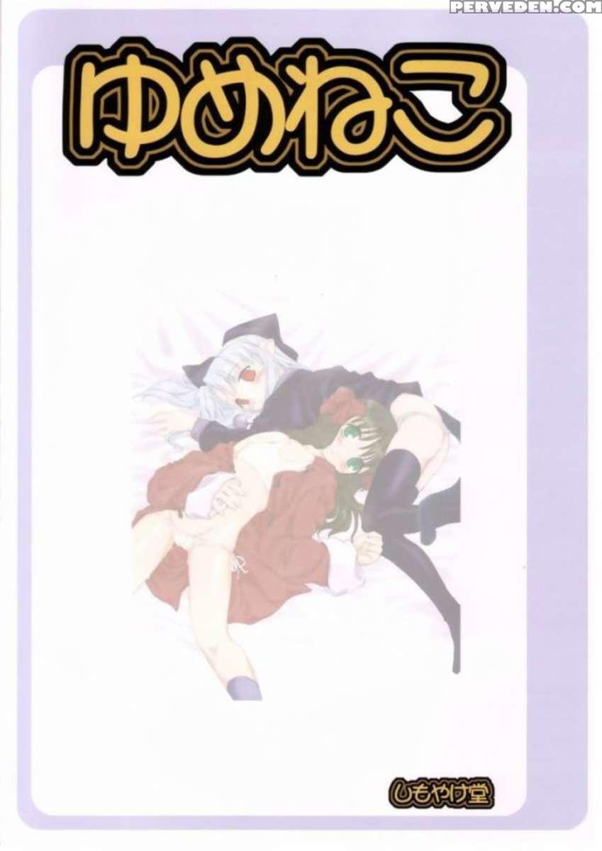 Dream Cat 1