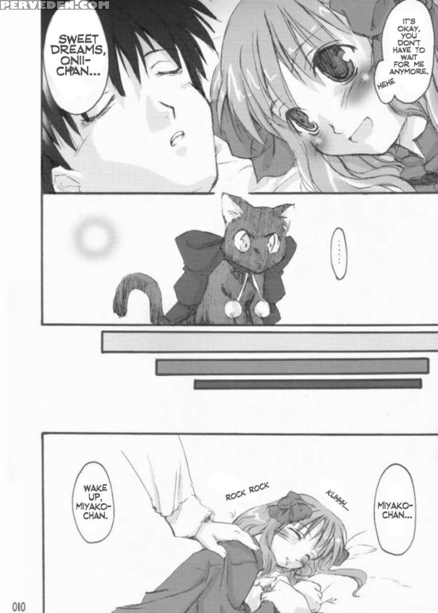 Dream Cat 1