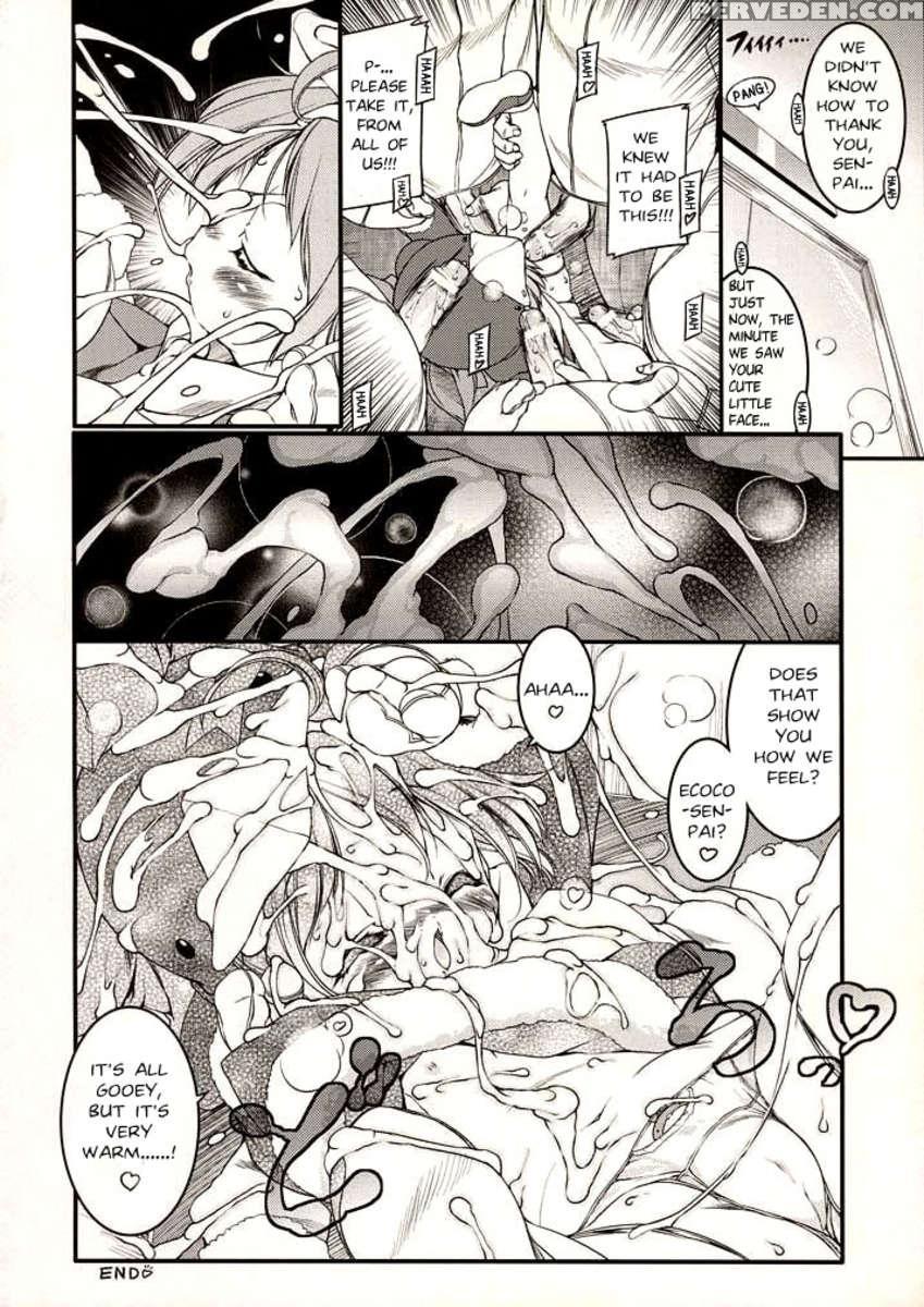 Eco Splash 6 1