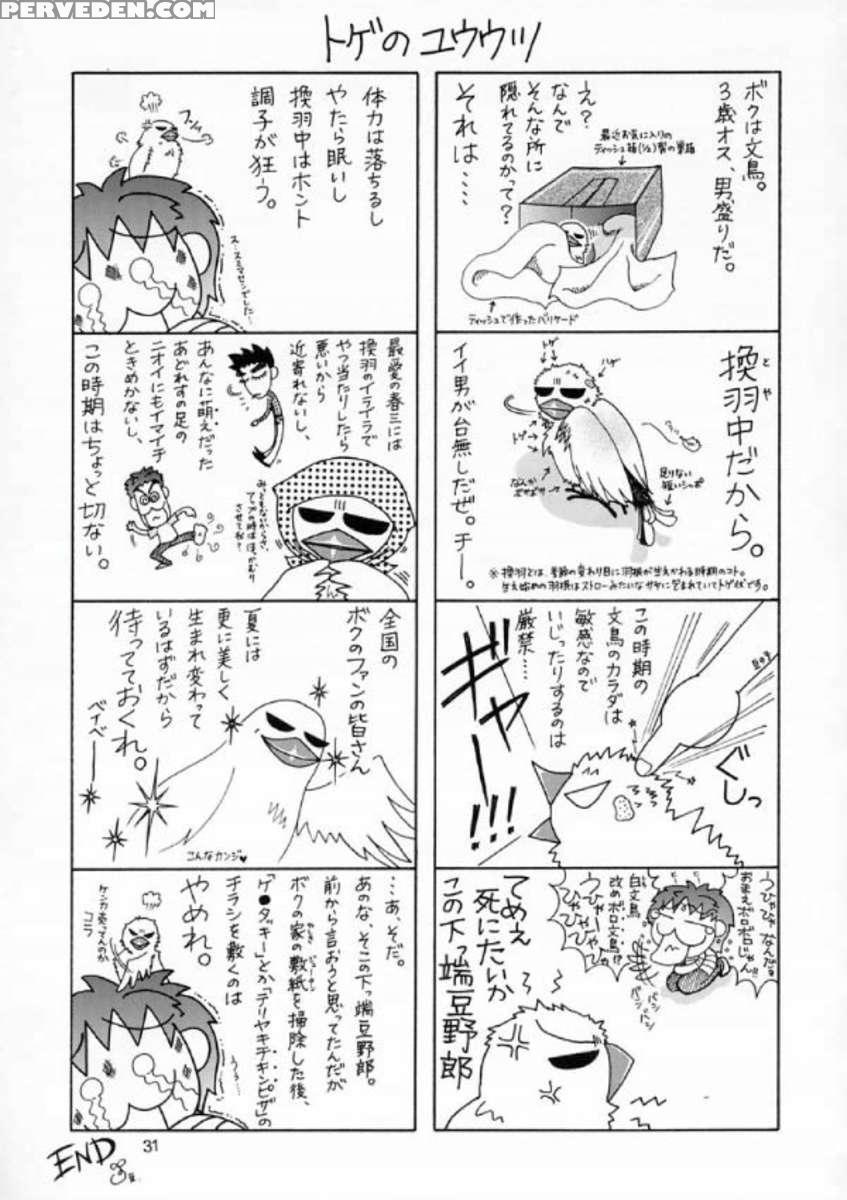 Edition (hana) 1