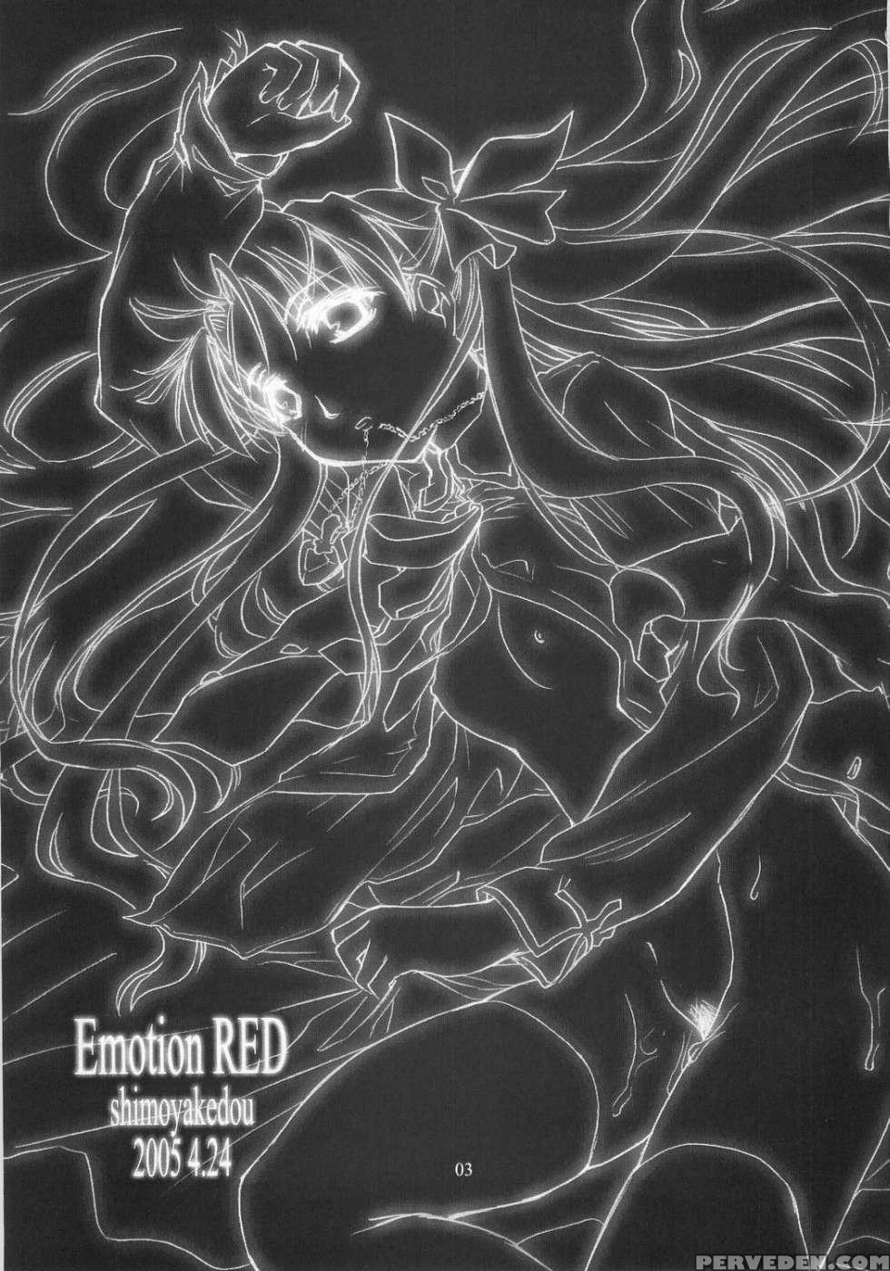 Emotion Red - Fate Stay Night 1