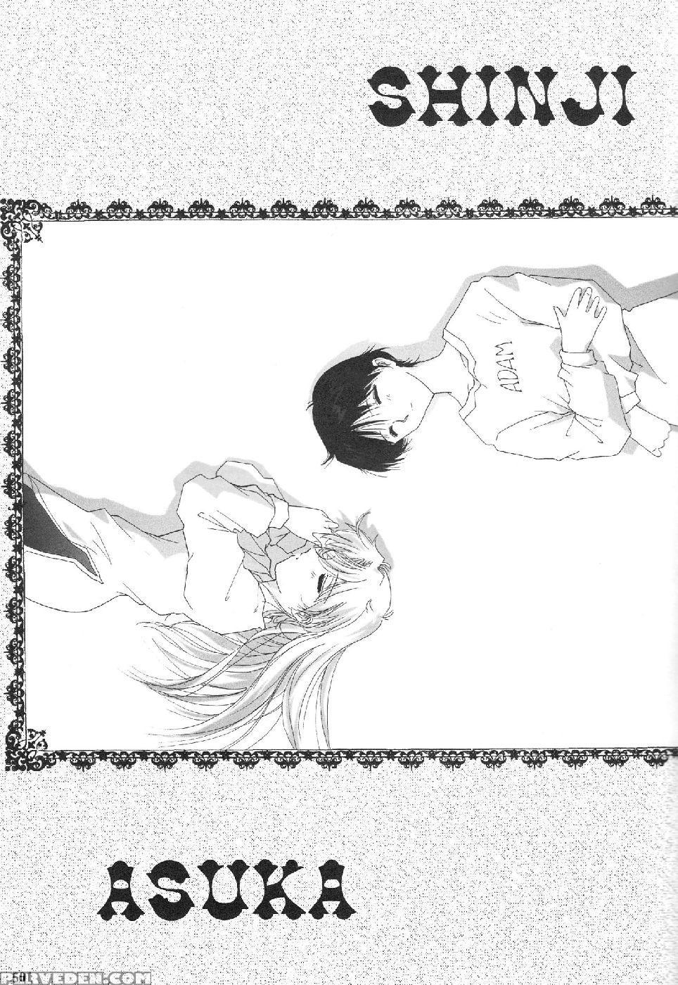 Epilogue Of Evangelion Part 6 - Neon Genesis Evangelion 1