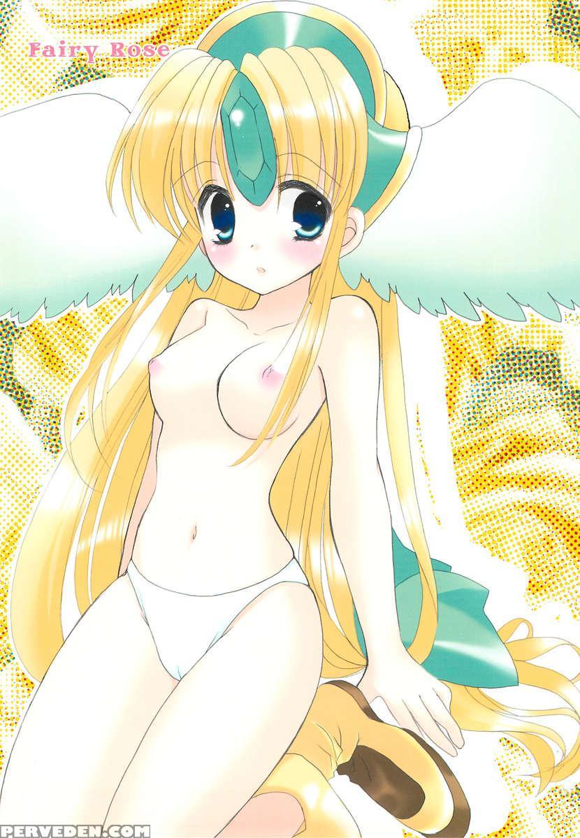 Fairy Rose 1