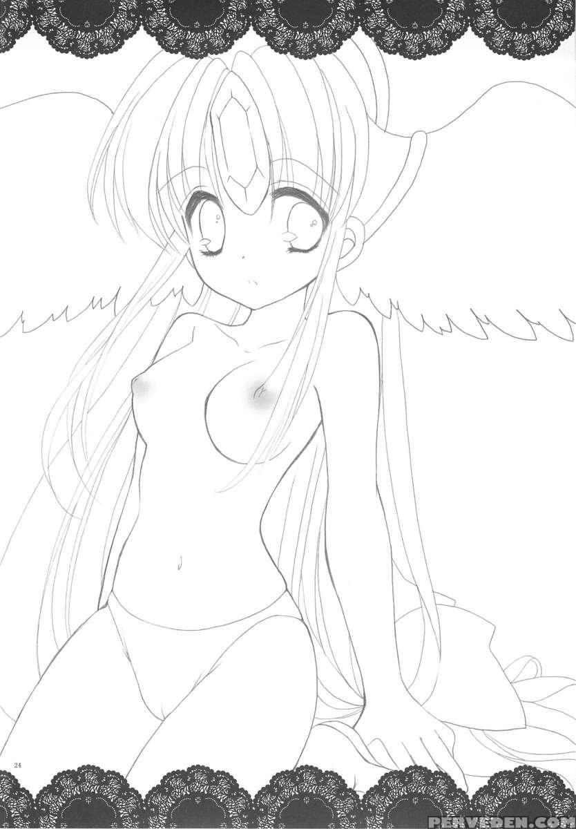 Fairy Rose 1