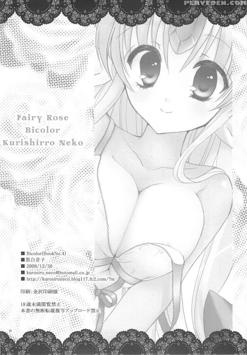 Fairy Rose 1