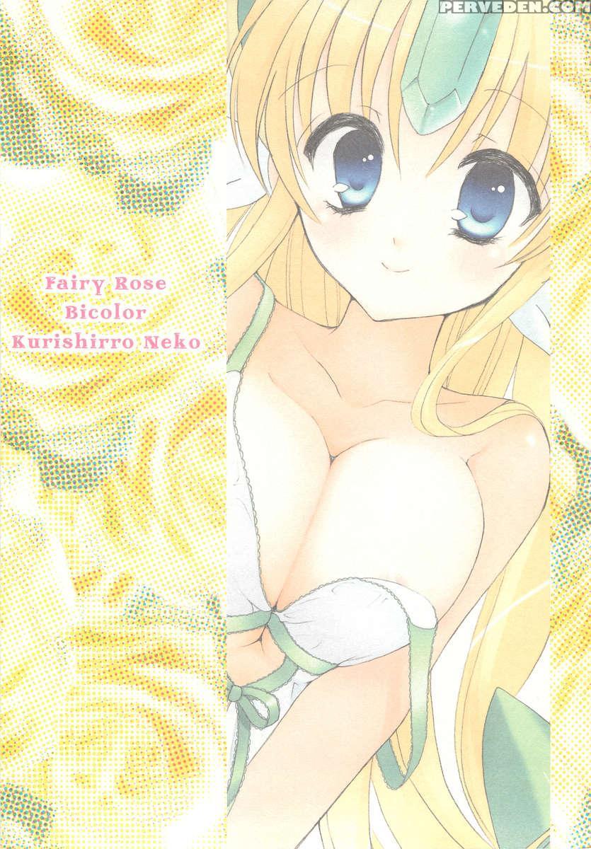 Fairy Rose 1