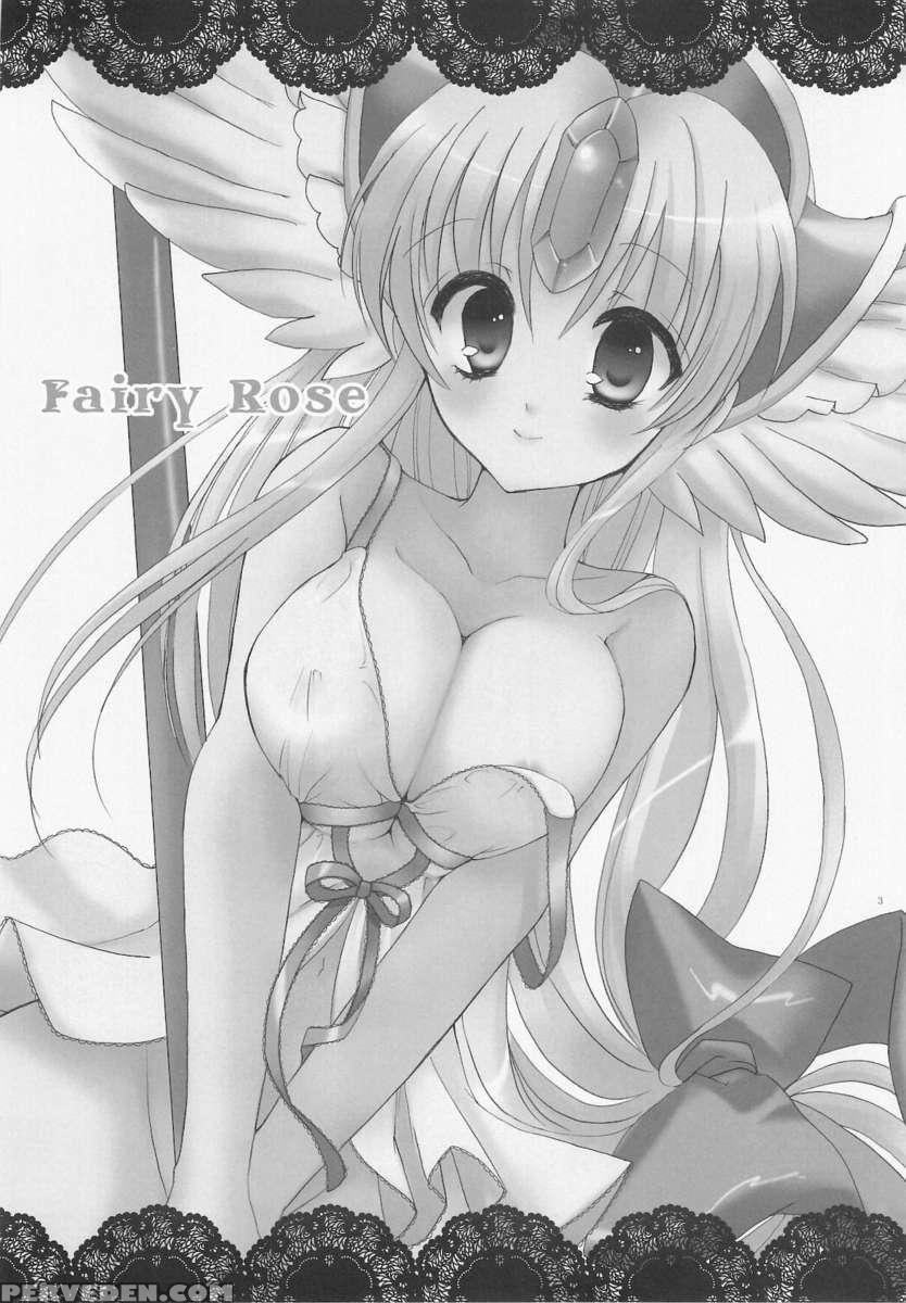 Fairy Rose 1