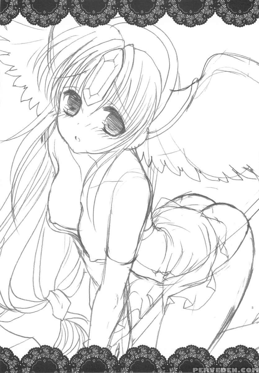 Fairy Rose 1
